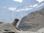 Cdn Rockies Adventure (Aug 2010) - Talus - 147
